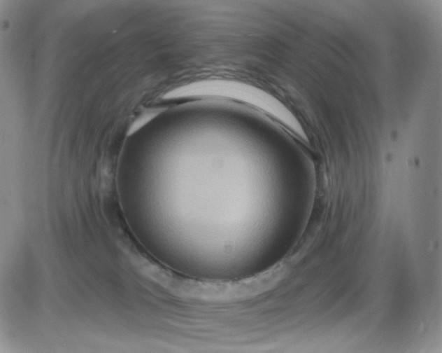 X0000085300037200703231909