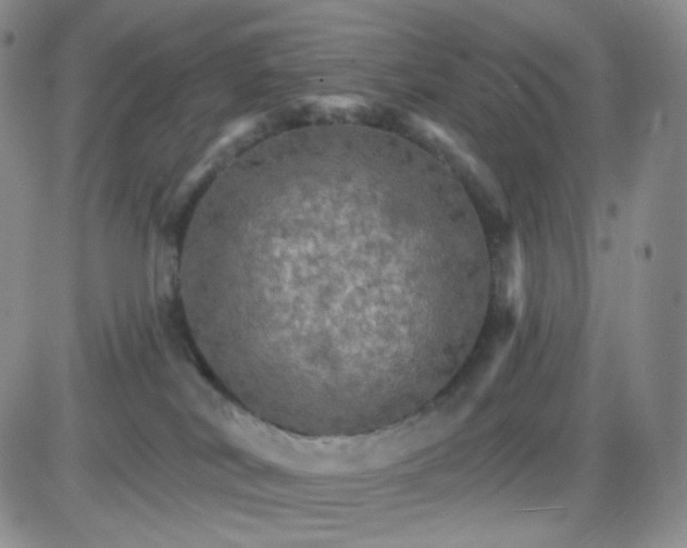 X0000085300038200703231909