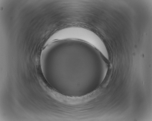 X0000085300039200703231909