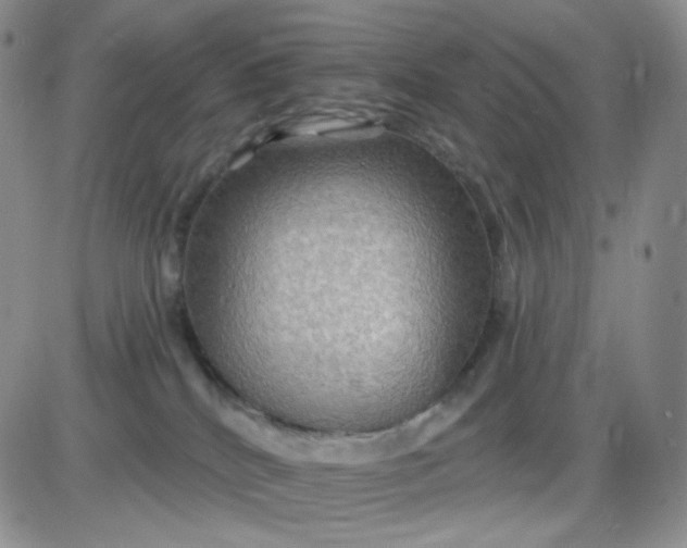 X0000085300040200703231909