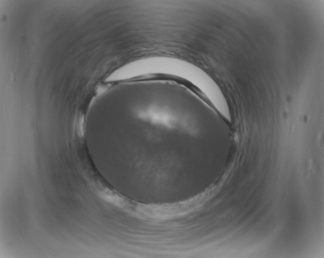 X0000085300041200703231909