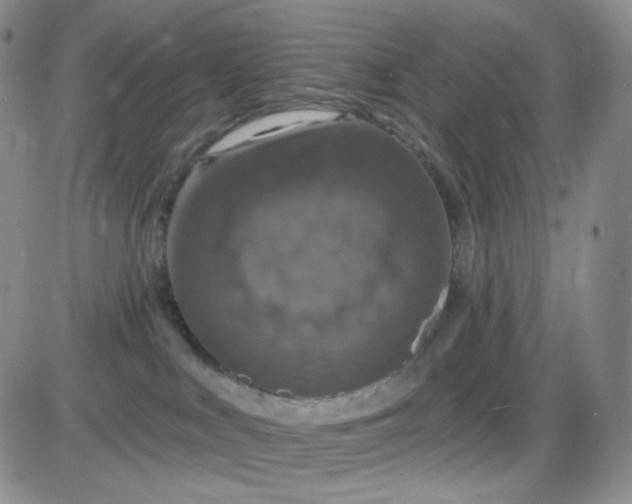 X0000085300043200703231909