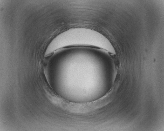 X0000085300045200703231909