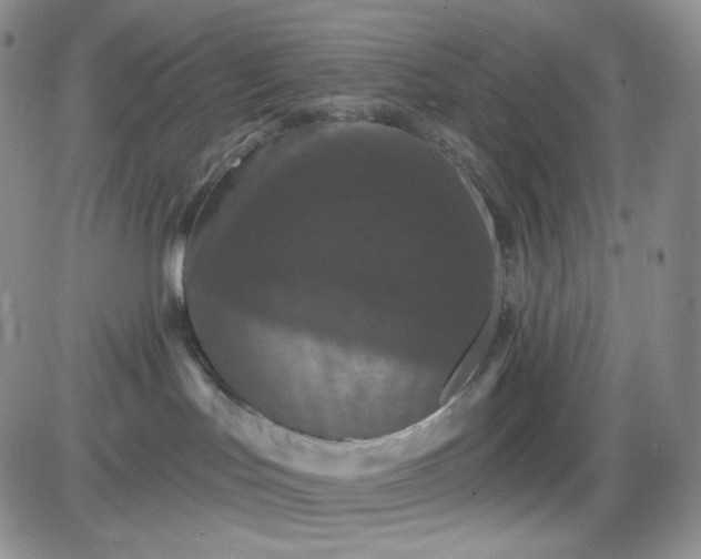 X0000085300047200703231909