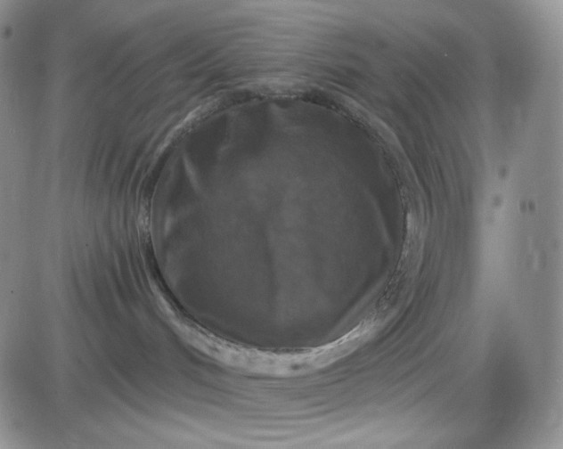 X0000085300048200703231909