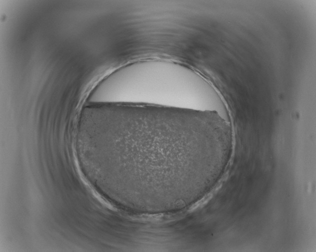 X0000085300049200703231908