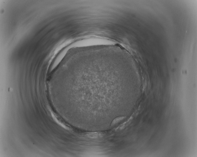 X0000085300050200703231908