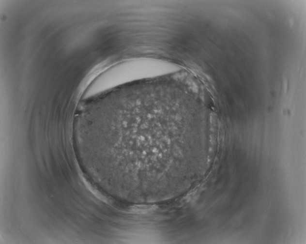 X0000085300051200703231908