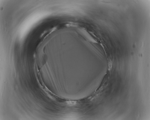 X0000085300052200703231908