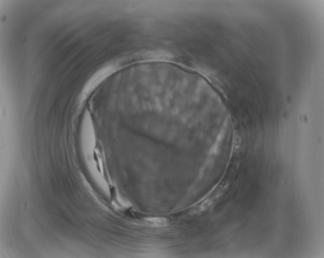 X0000085300053200703231908