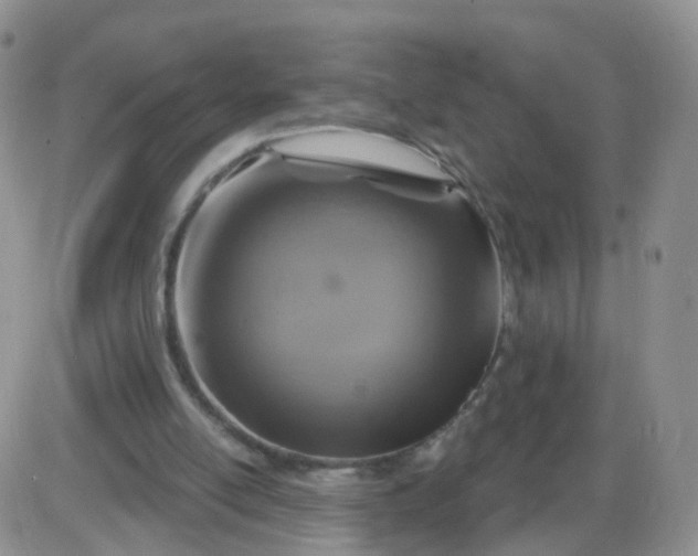 X0000085300054200703231908