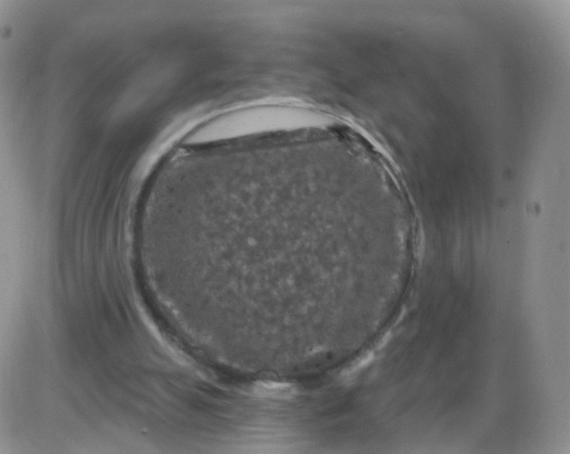 X0000085300055200703231908