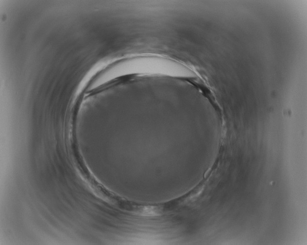 X0000085300056200703231908