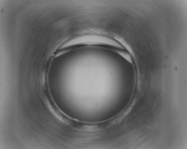 X0000085300057200703231908