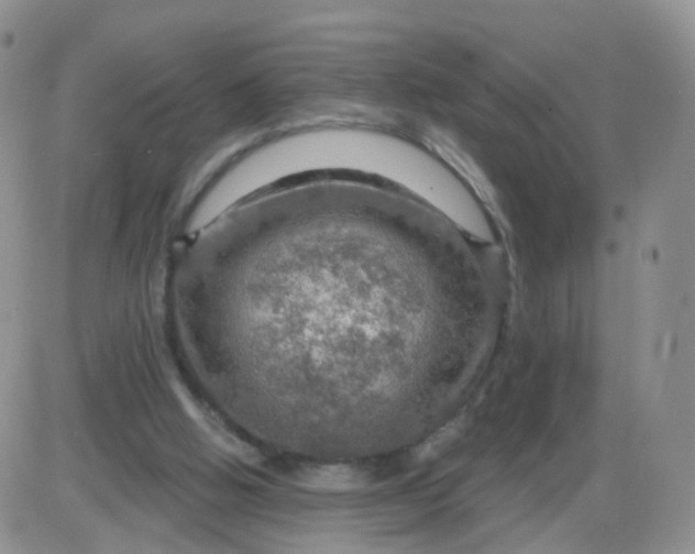 X0000085300058200703231909