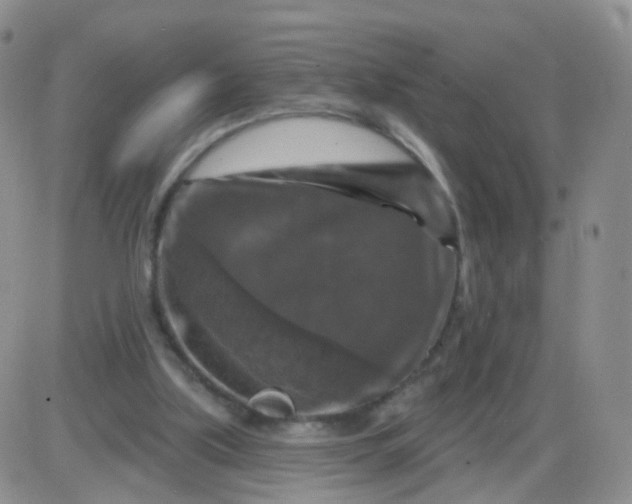 X0000085300059200703231909