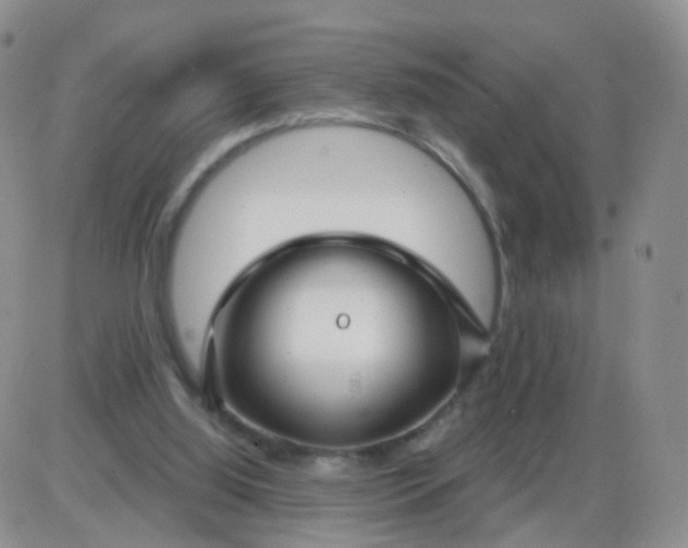 X0000085300060200703231909