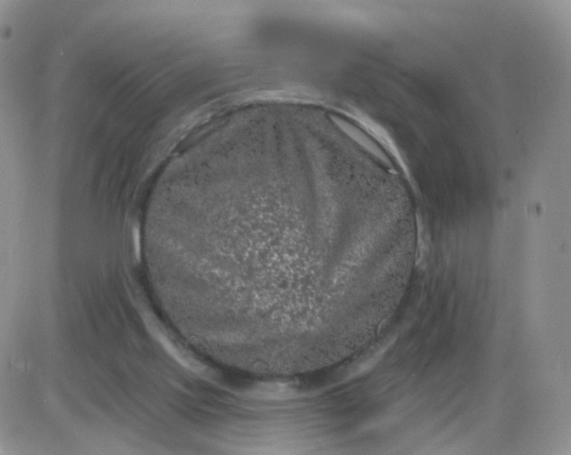 X0000085300061200703231909