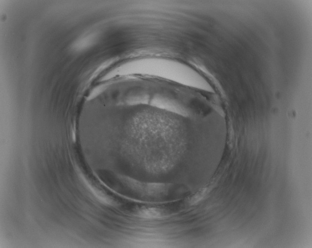 X0000085300062200703231909