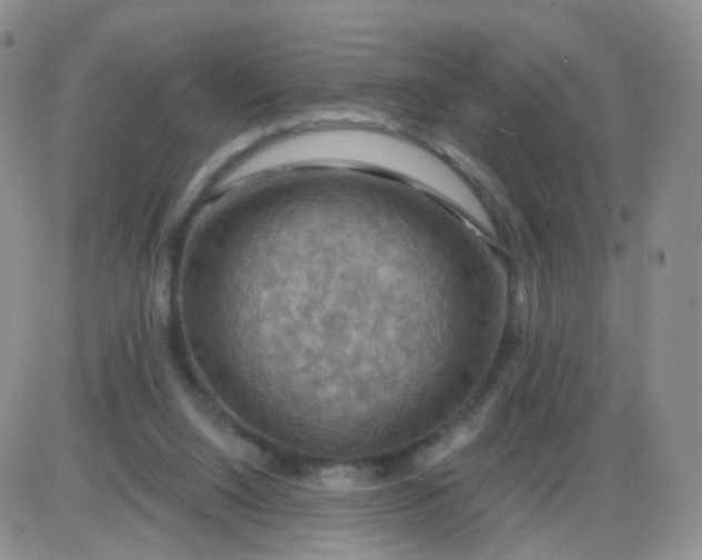 X0000085300064200703231909