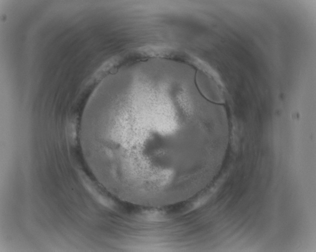 X0000085300065200703231909