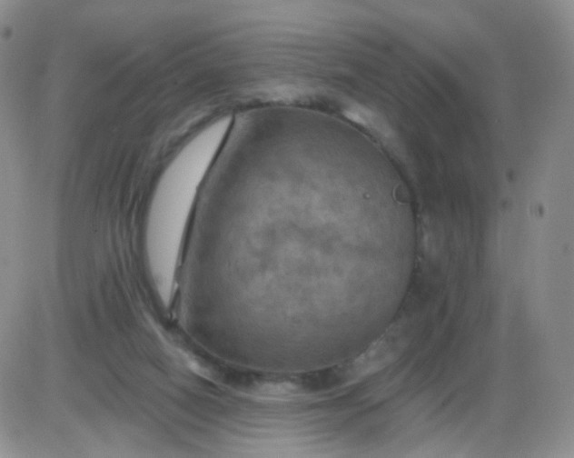 X0000085300066200703231909