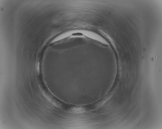 X0000085300067200703231909