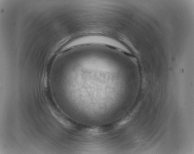 X0000085300068200703231909