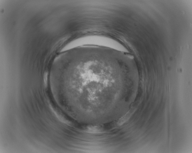 X0000085300070200703231909