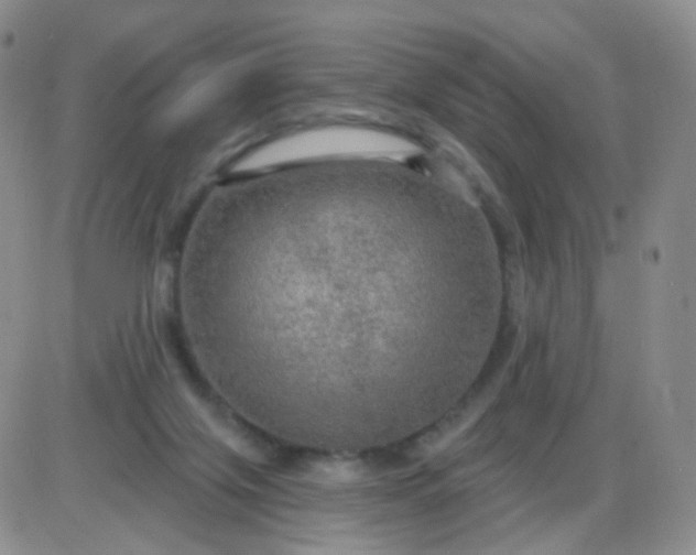 X0000085300071200703231909