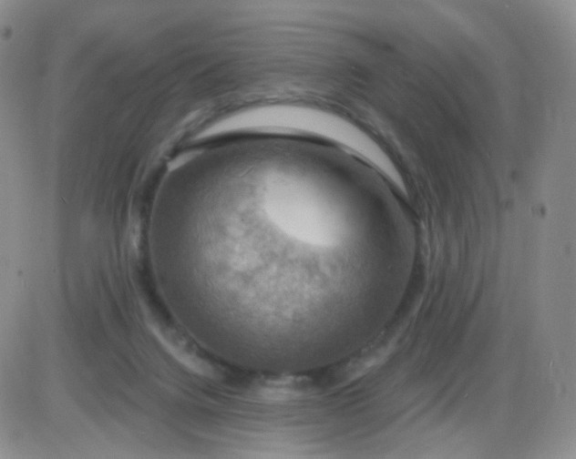 X0000085300072200703231909