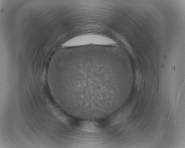 X0000085300073200703231909