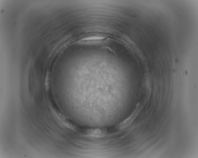 X0000085300074200703231909