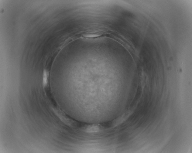 X0000085300075200703231909