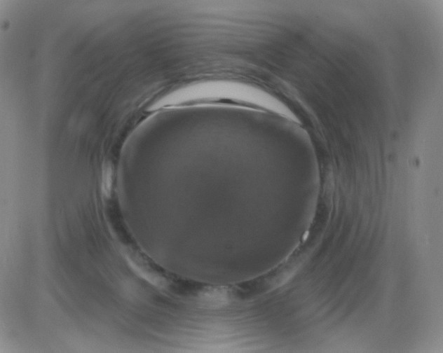 X0000085300076200703231909