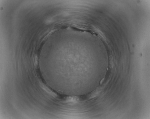 X0000085300077200703231909