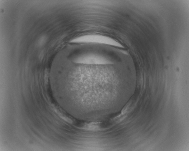 X0000085300078200703231909