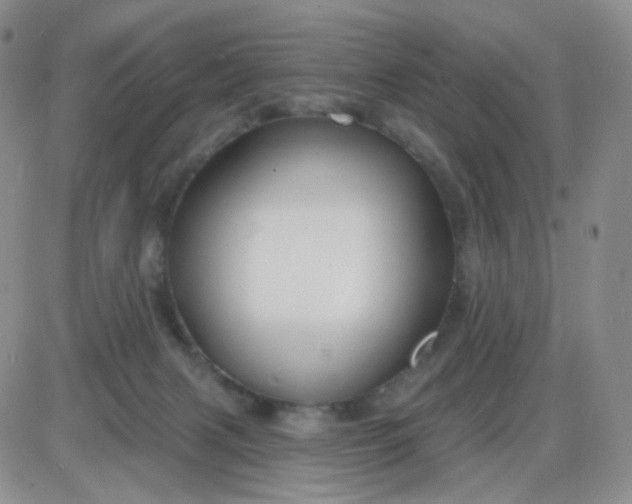 X0000085300079200703231909