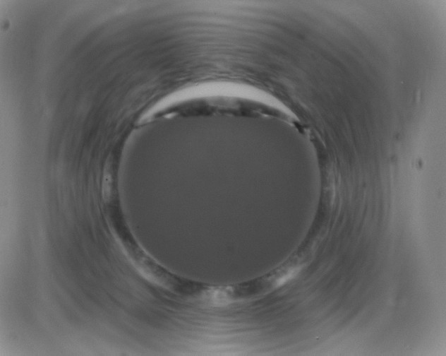 X0000085300080200703231909