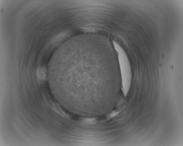 X0000085300081200703231909