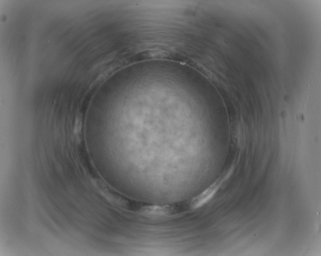 X0000085300082200703231909