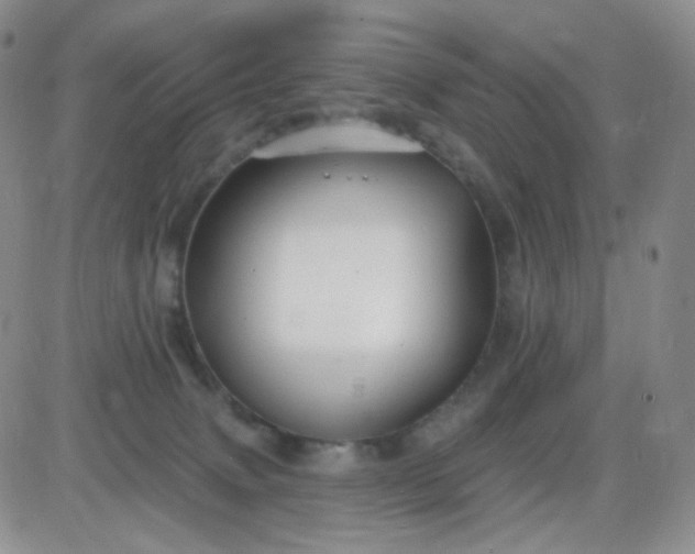 X0000085300083200703231909