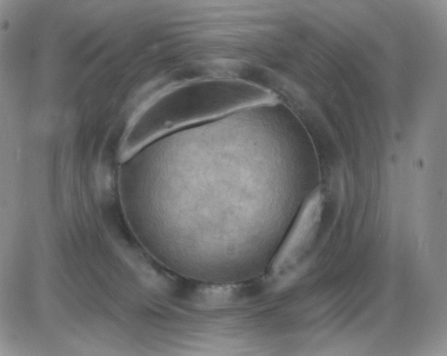 X0000085300084200703231909