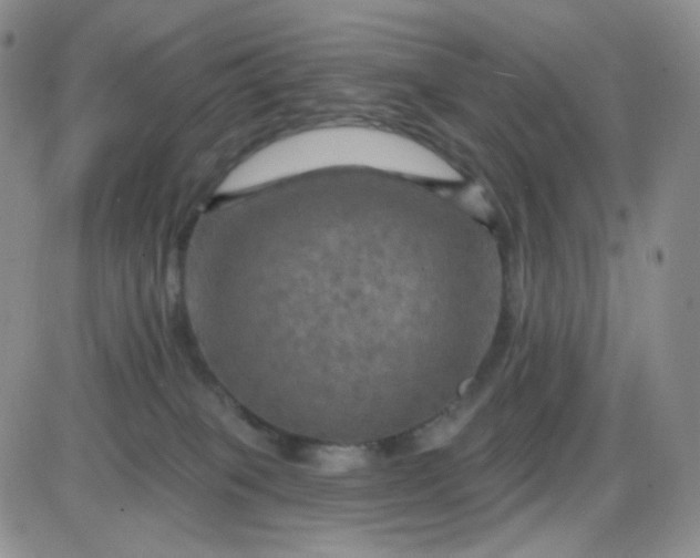 X0000085300085200703231909