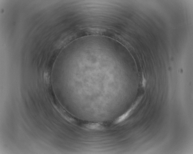 X0000085300086200703231909