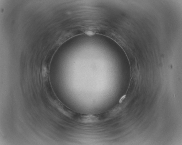 X0000085300087200703231909