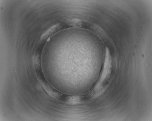 X0000085300088200703231909