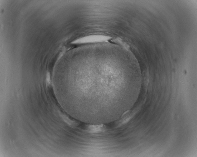 X0000085300089200703231909