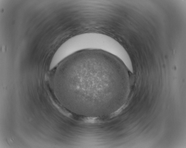 X0000085300090200703231909