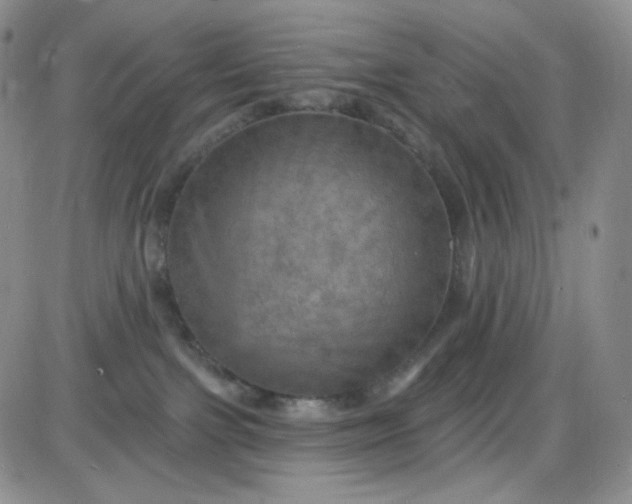 X0000085300091200703231909